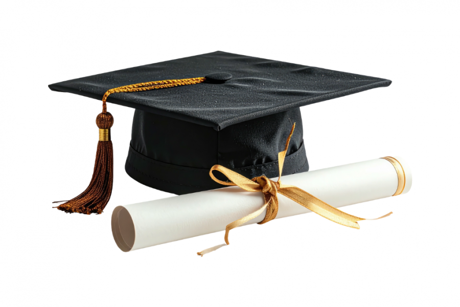 82% de réussite aux examens !